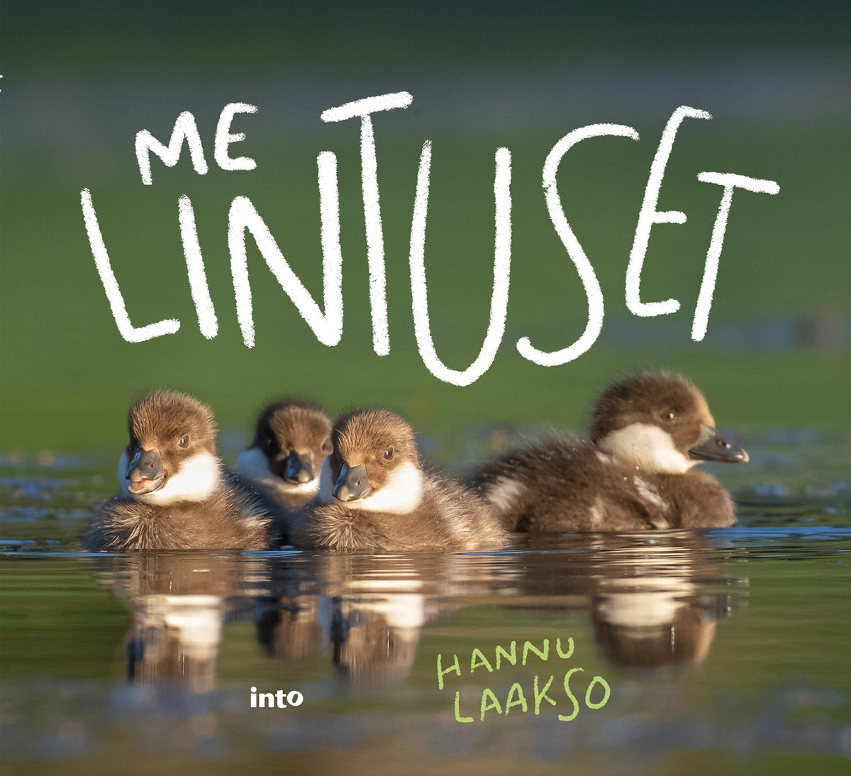 Me Lintuset – E-bok