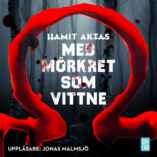 Med mörkret som vittne – Ljudbok