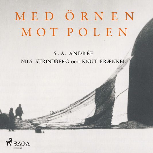 Med örnen mot polen – Ljudbok