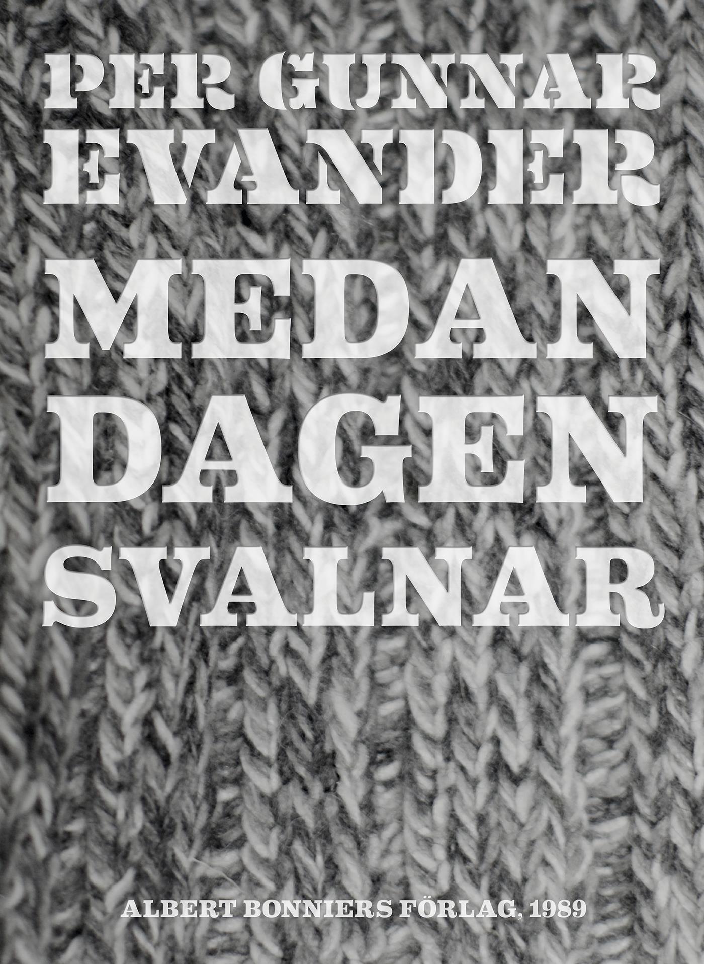 Medan dagen svalnar – E-bok