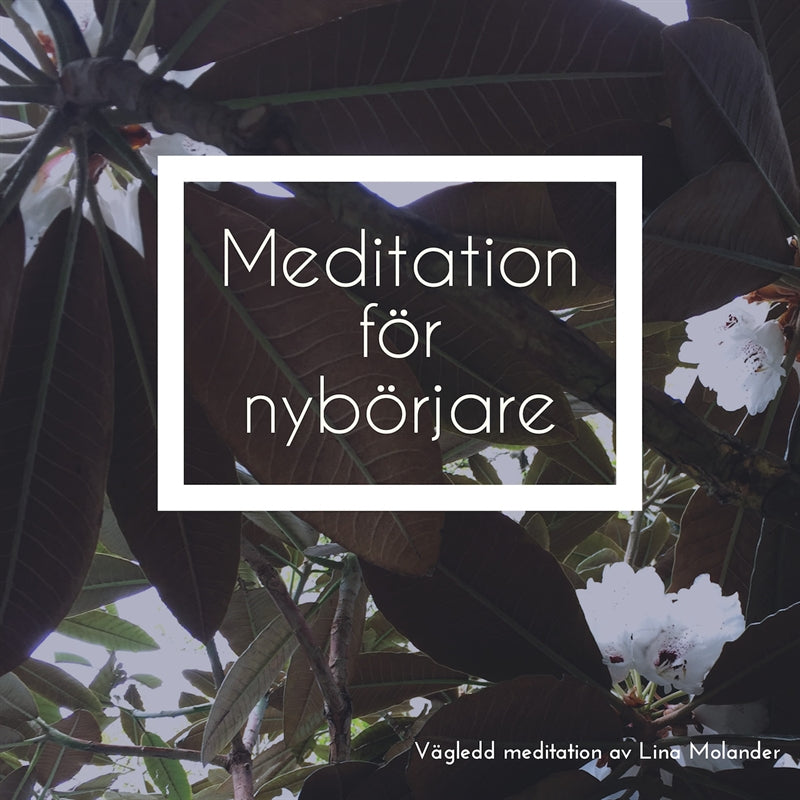 Meditation för nybörjare – Ljudbok