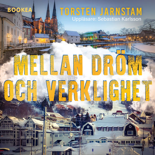 Mellan dröm och verklighet – Ljudbok