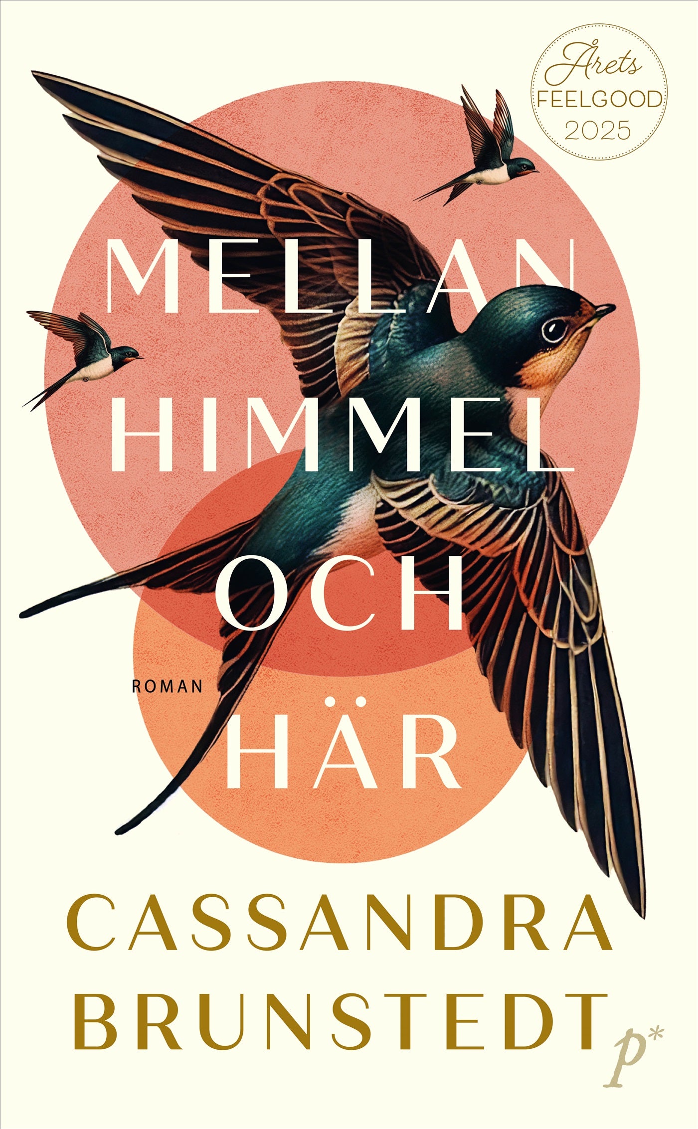 Mellan himmel och här – E-bok