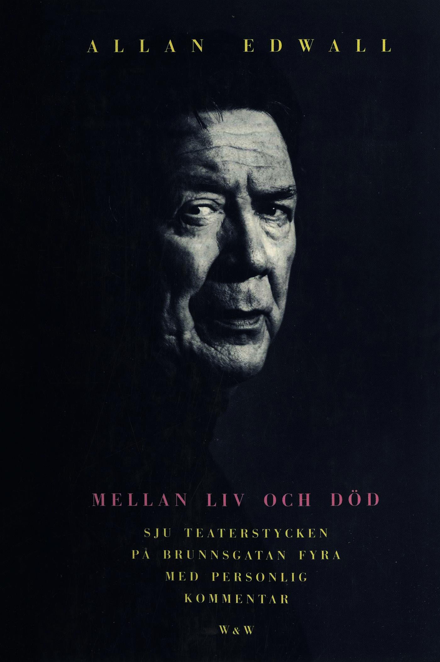 Mellan liv och död – E-bok