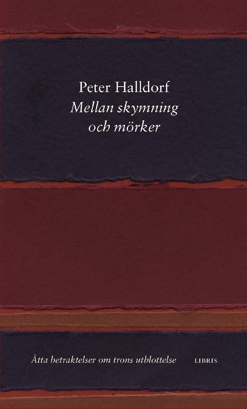 Mellan skymning och mörker – E-bok