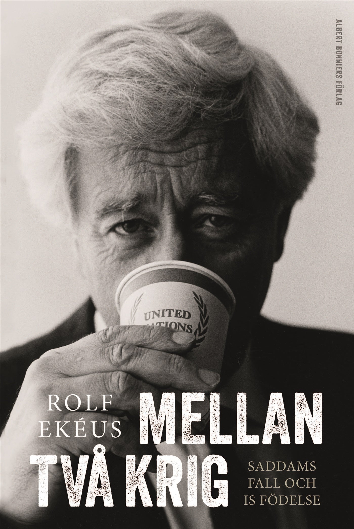Mellan två krig – E-bok