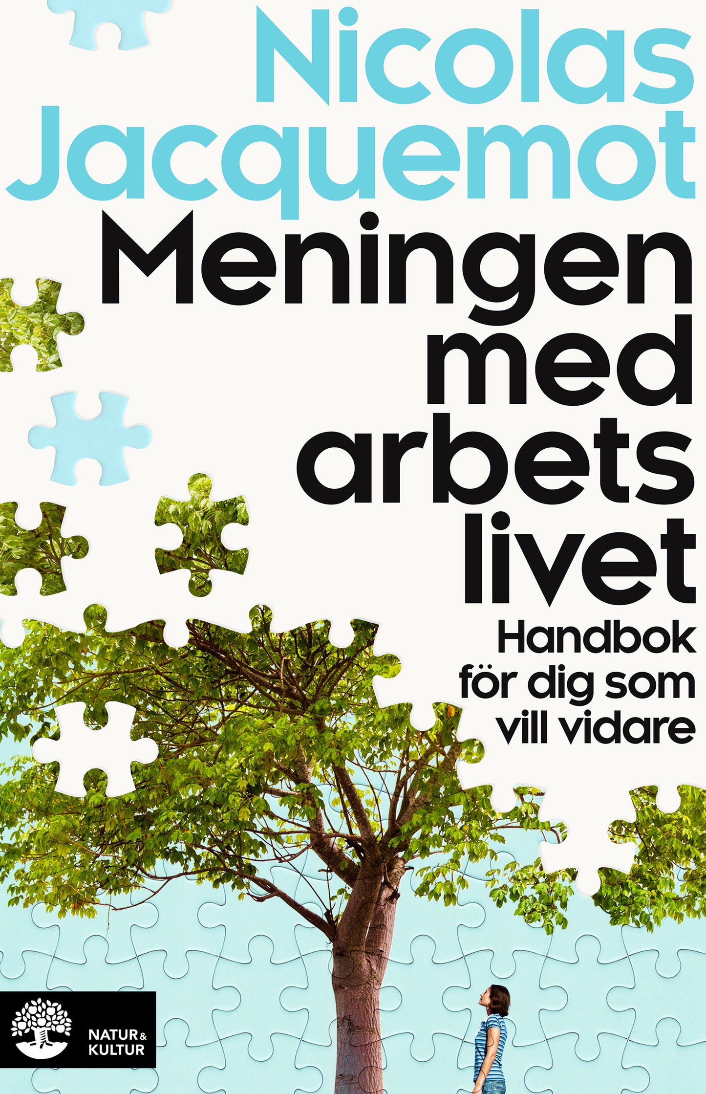Meningen med arbetslivet : handbok för dig som vill vidare – E-bok