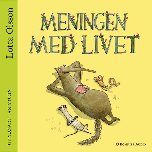 Meningen med livet – Ljudbok