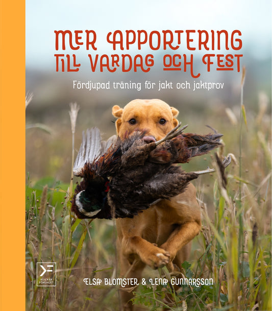 Mer apportering till vardag och fest – E-bok