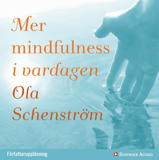 Mer mindfulness i vardagen – Ljudbok