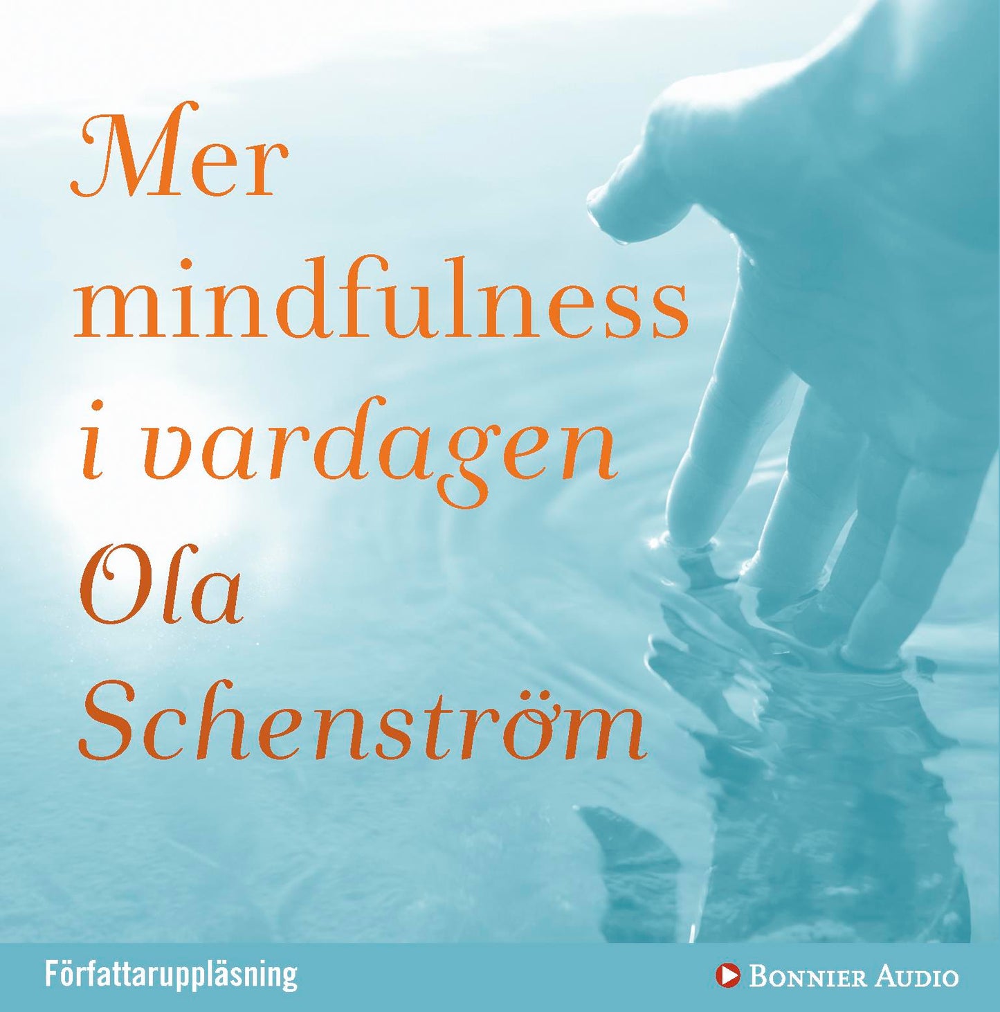 Mer mindfulness i vardagen – Ljudbok