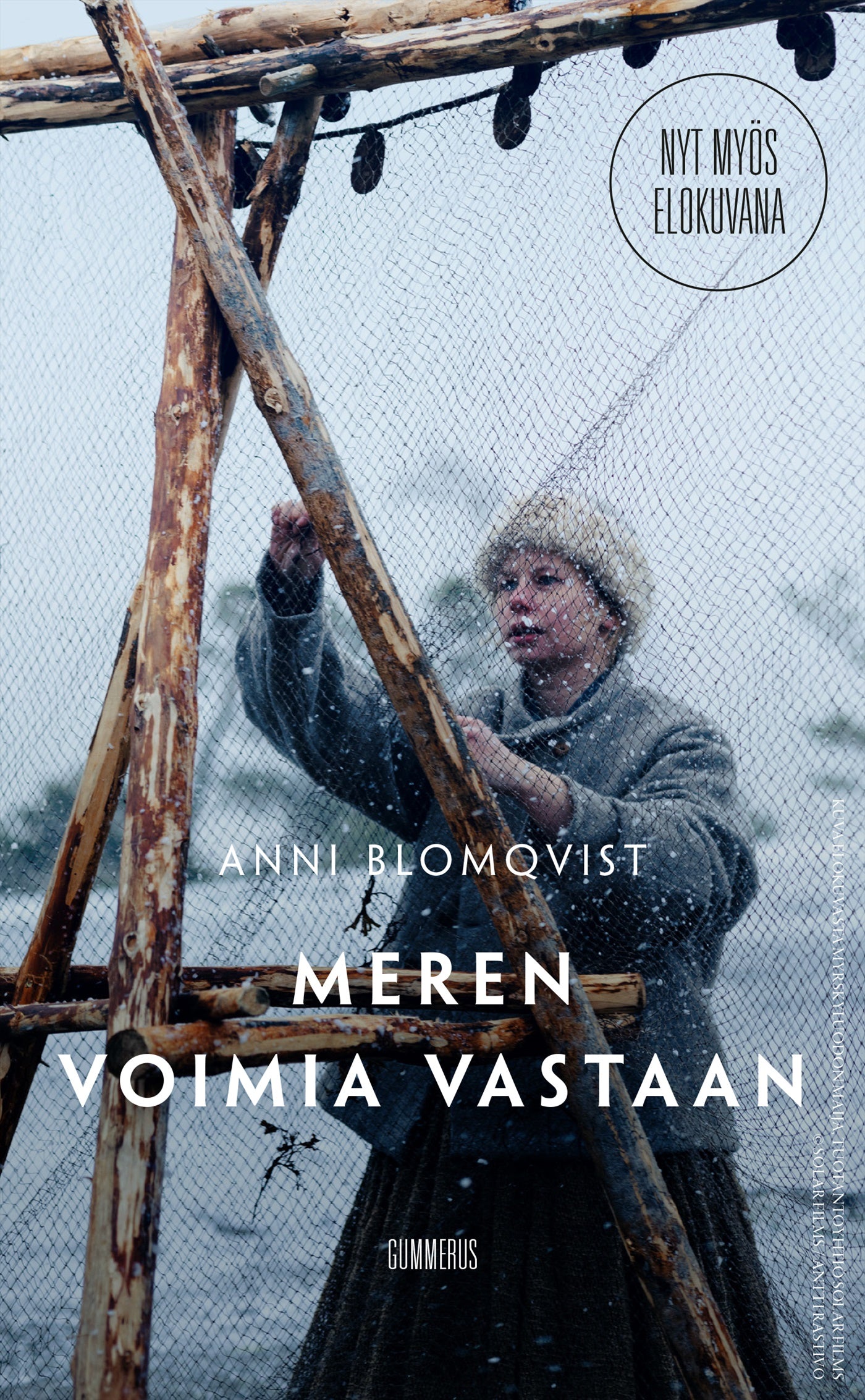 Meren voimia vastaan – E-bok
