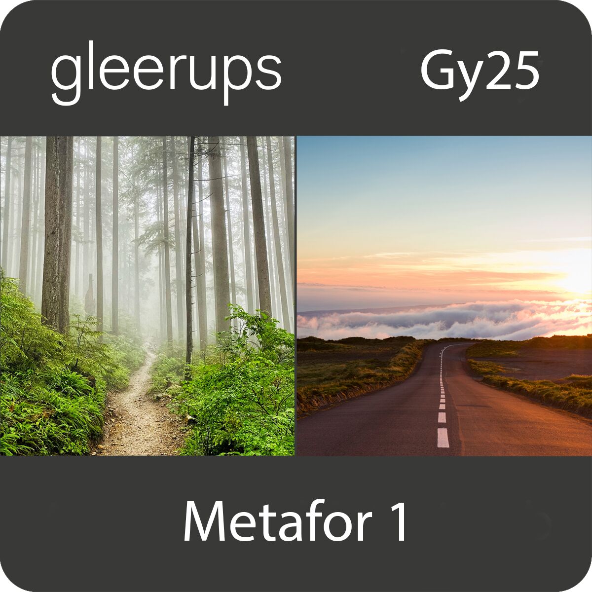 Metafor svenska 1, digitalt läromedel, lärare, 12 mån, Gy25 (OBS! Endast för lärare)