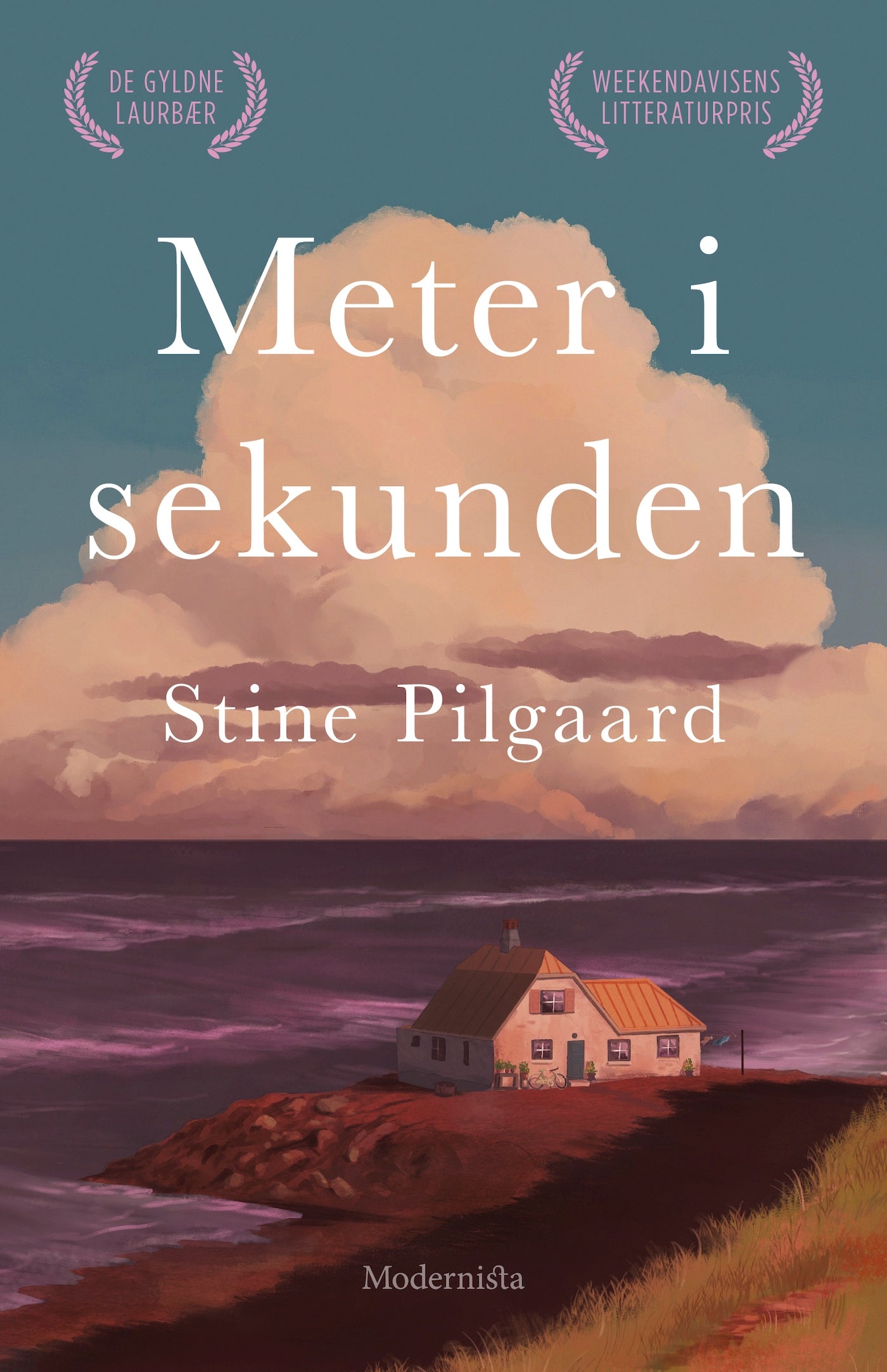 Meter i sekunden – E-bok