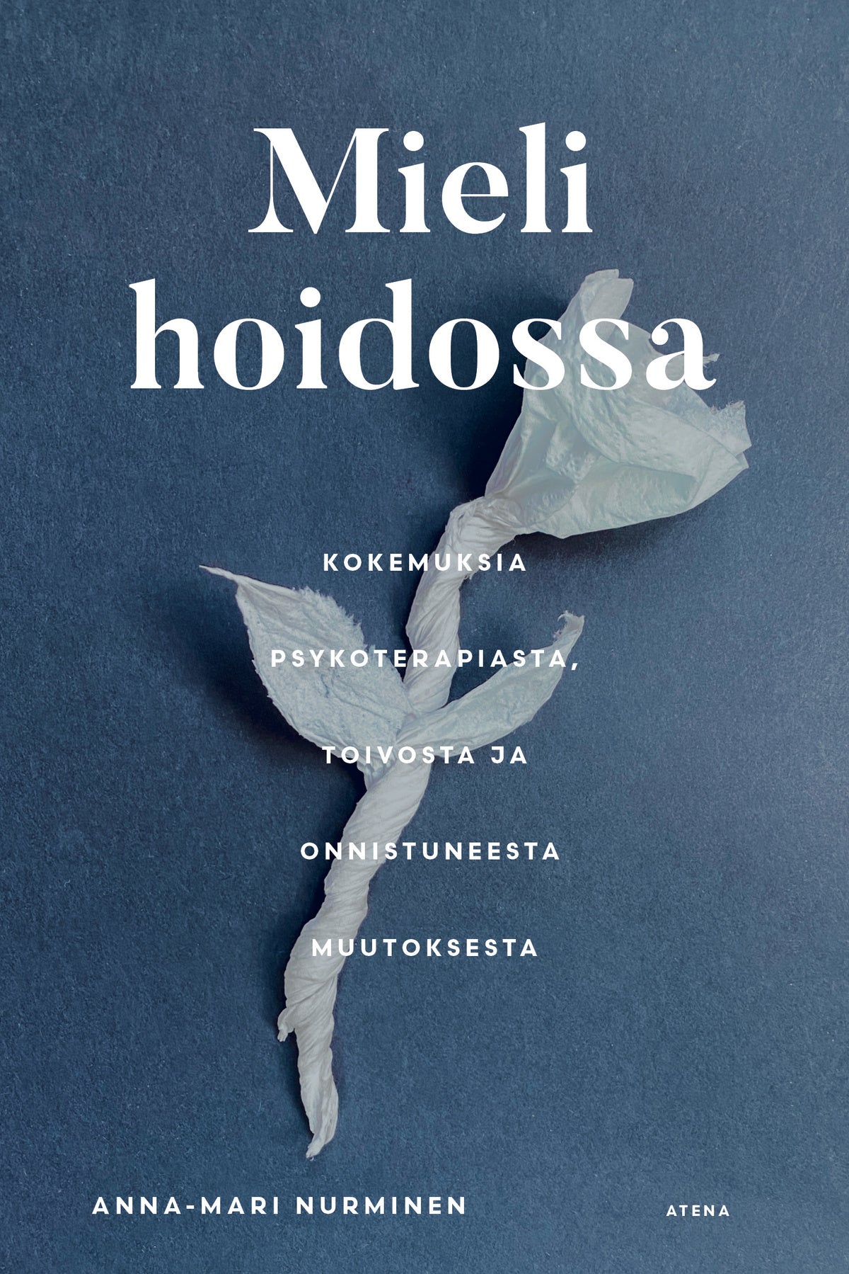 Mieli hoidossa – E-bok