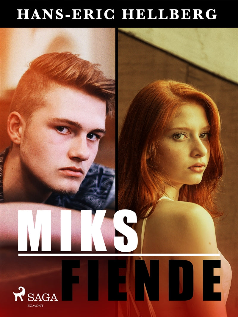 Miks fiende – E-bok