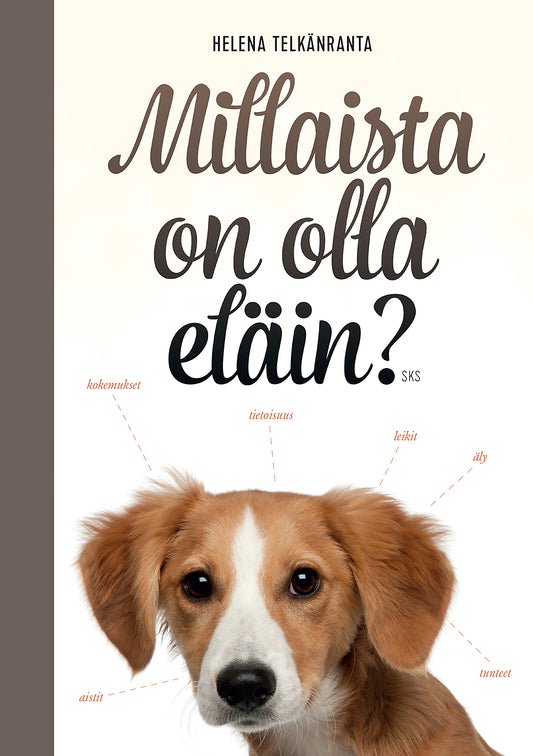 Millaista on olla eläin? – E-bok