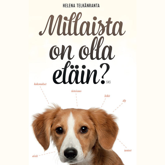 Millaista on olla eläin? – Ljudbok