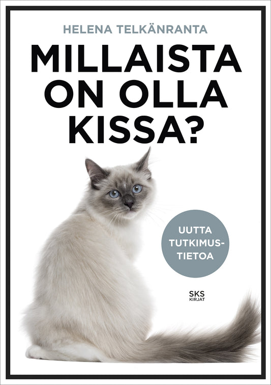 Millaista on olla kissa? – E-bok