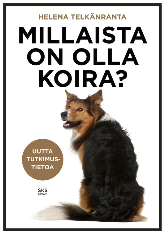 Millaista on olla koira? – E-bok