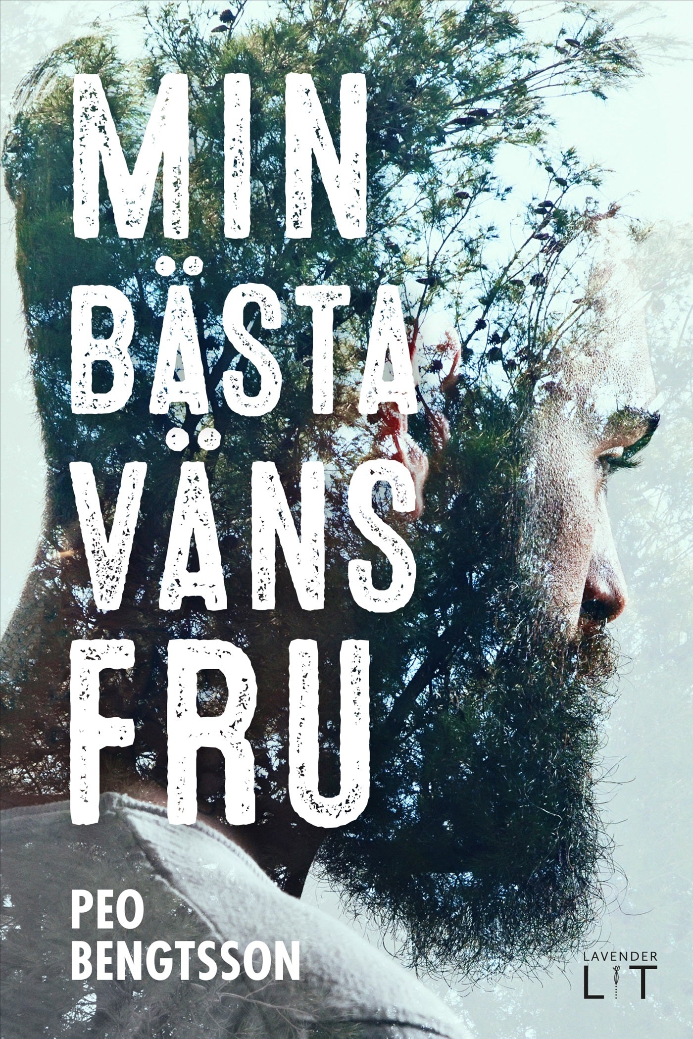 Min bästa väns fru – E-bok
