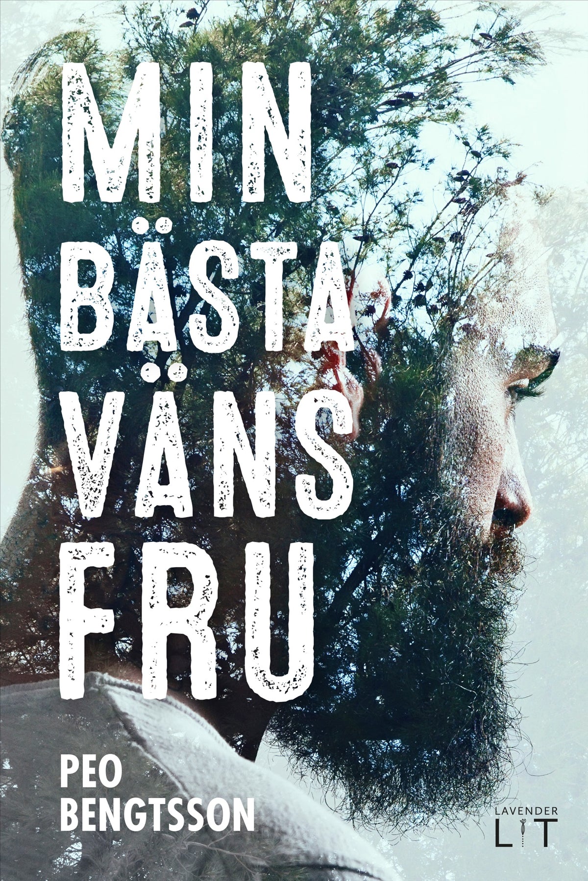 Min bästa väns fru – E-bok