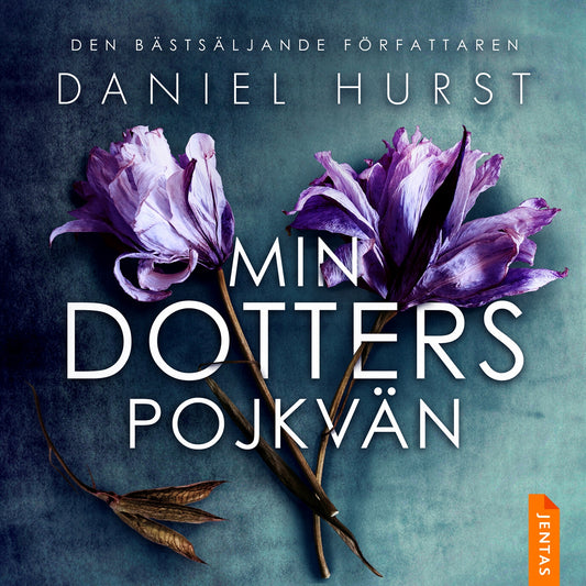 Min dotters pojkvän – Ljudbok
