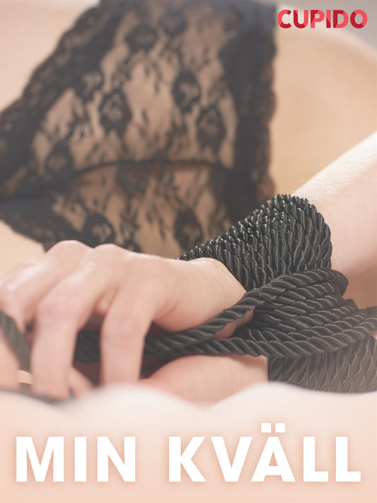 Min kväll - erotiska noveller – E-bok