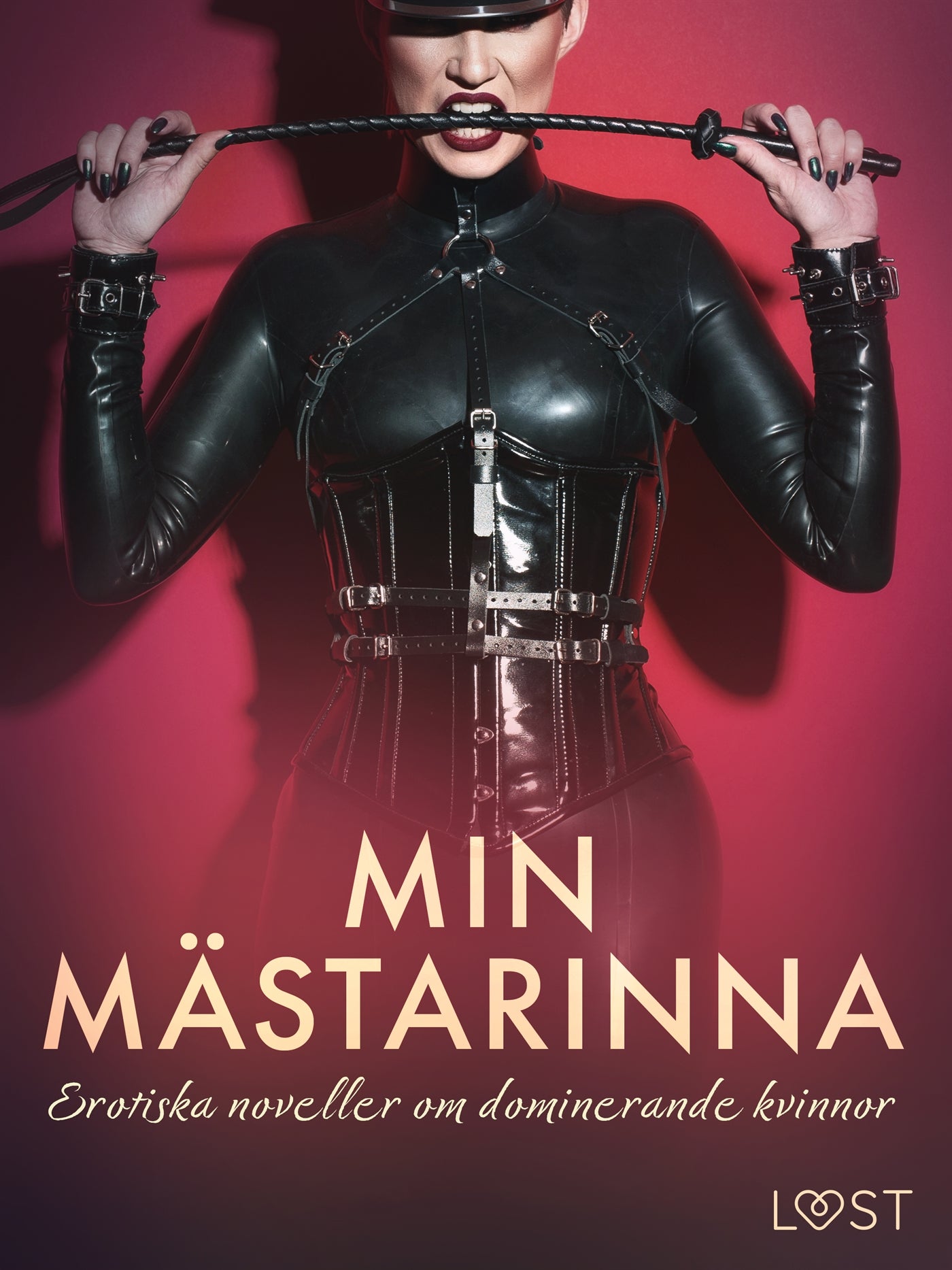 Min mästarinna: erotiska noveller om dominerande kvinnor – E-bok
