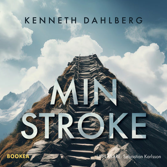 Min stroke – Ljudbok