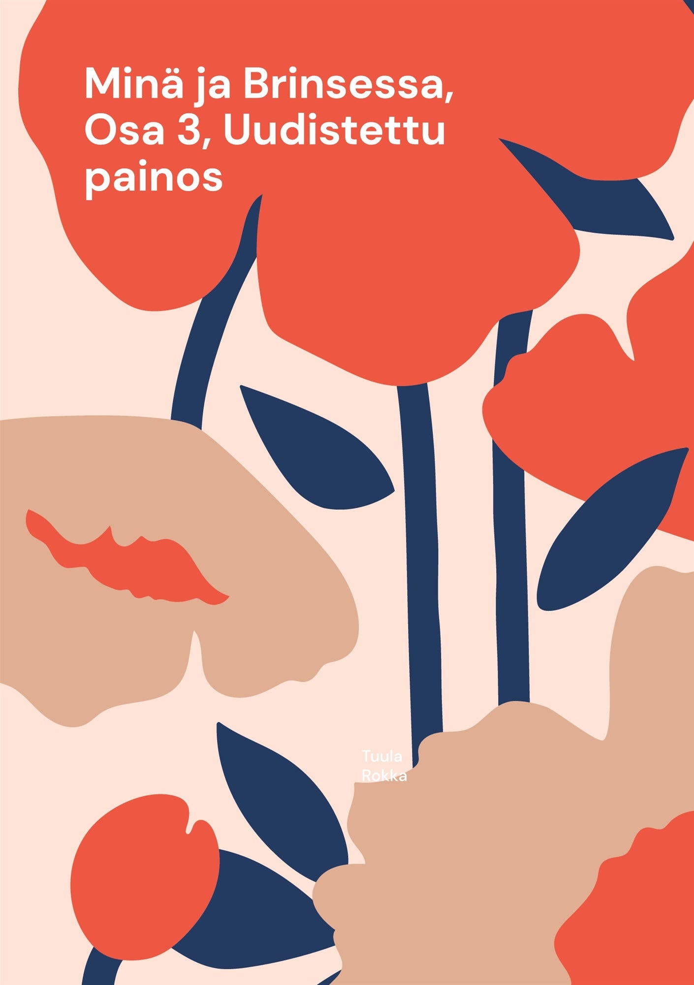 Minä ja Brinsessa, Osa 3, Uudistettu painos – E-bok