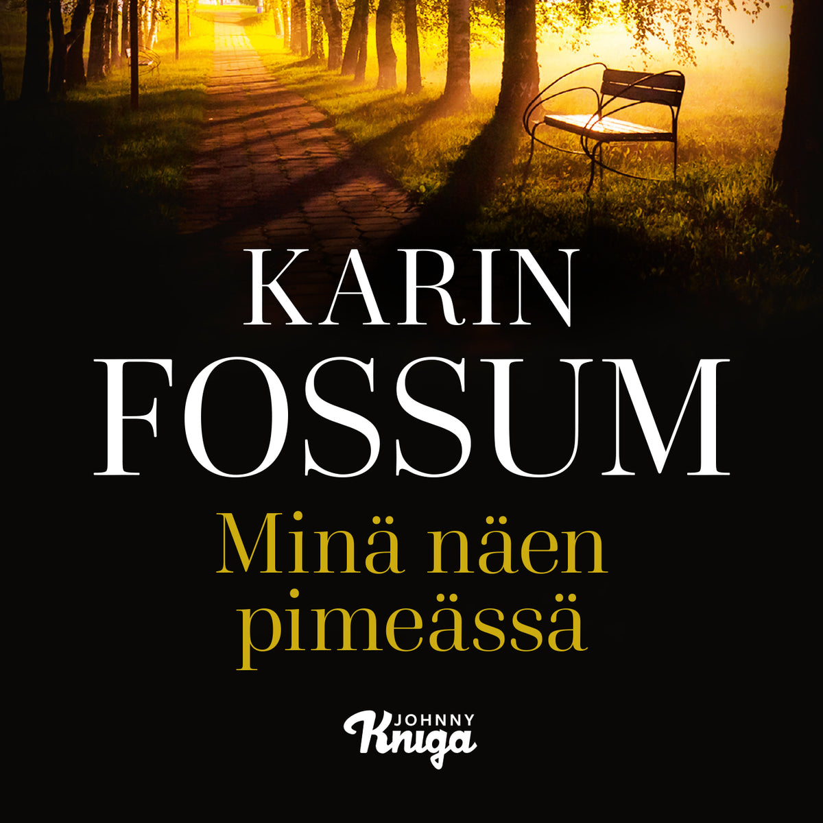 Minä näen pimeässä – Ljudbok