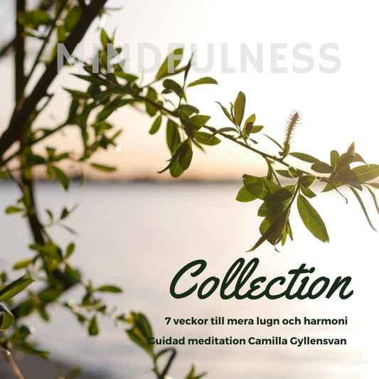 Mindfulness Collection - 7 veckor till mer lugn och harmoni  – Ljudbok