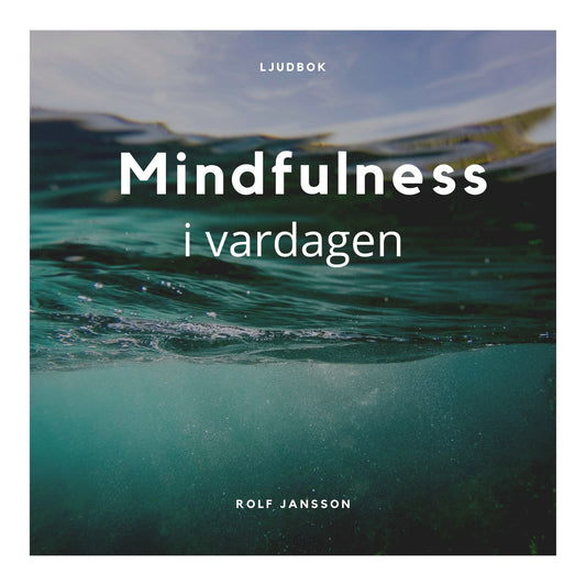 Mindfulness i vardagen - Meditation och medveten närvaro för ett lugnare sinne – Ljudbok