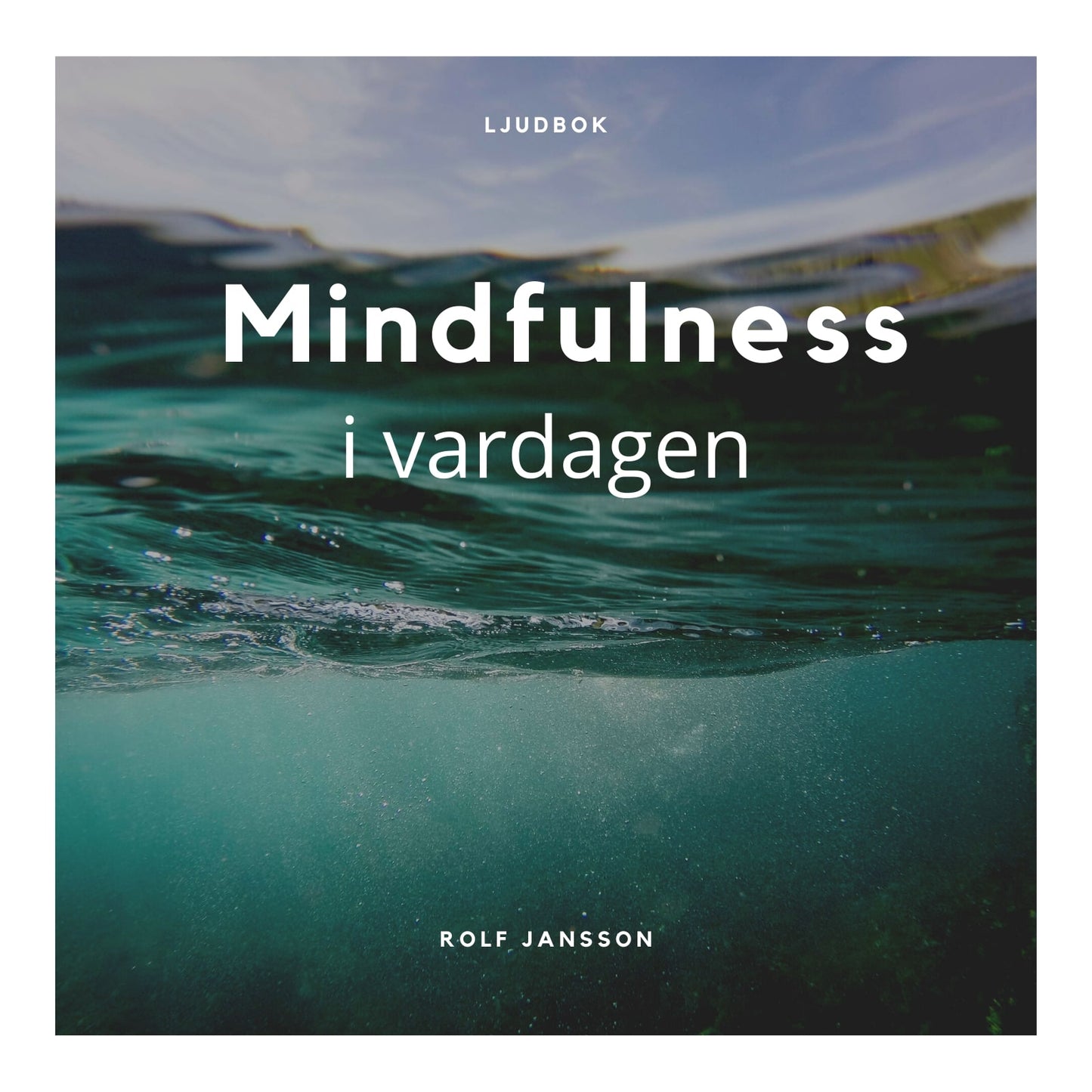 Mindfulness i vardagen - Meditation och medveten närvaro för ett lugnare sinne – Ljudbok