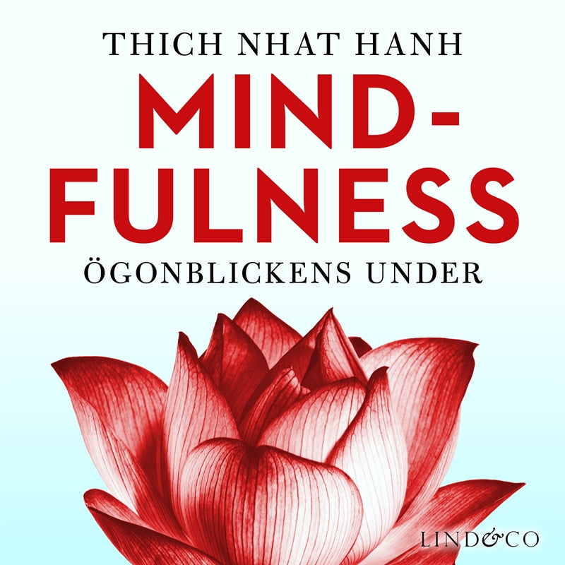 Mindfulness : ögonblickens under – Ljudbok