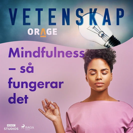 Mindfulness – så fungerar det – Ljudbok