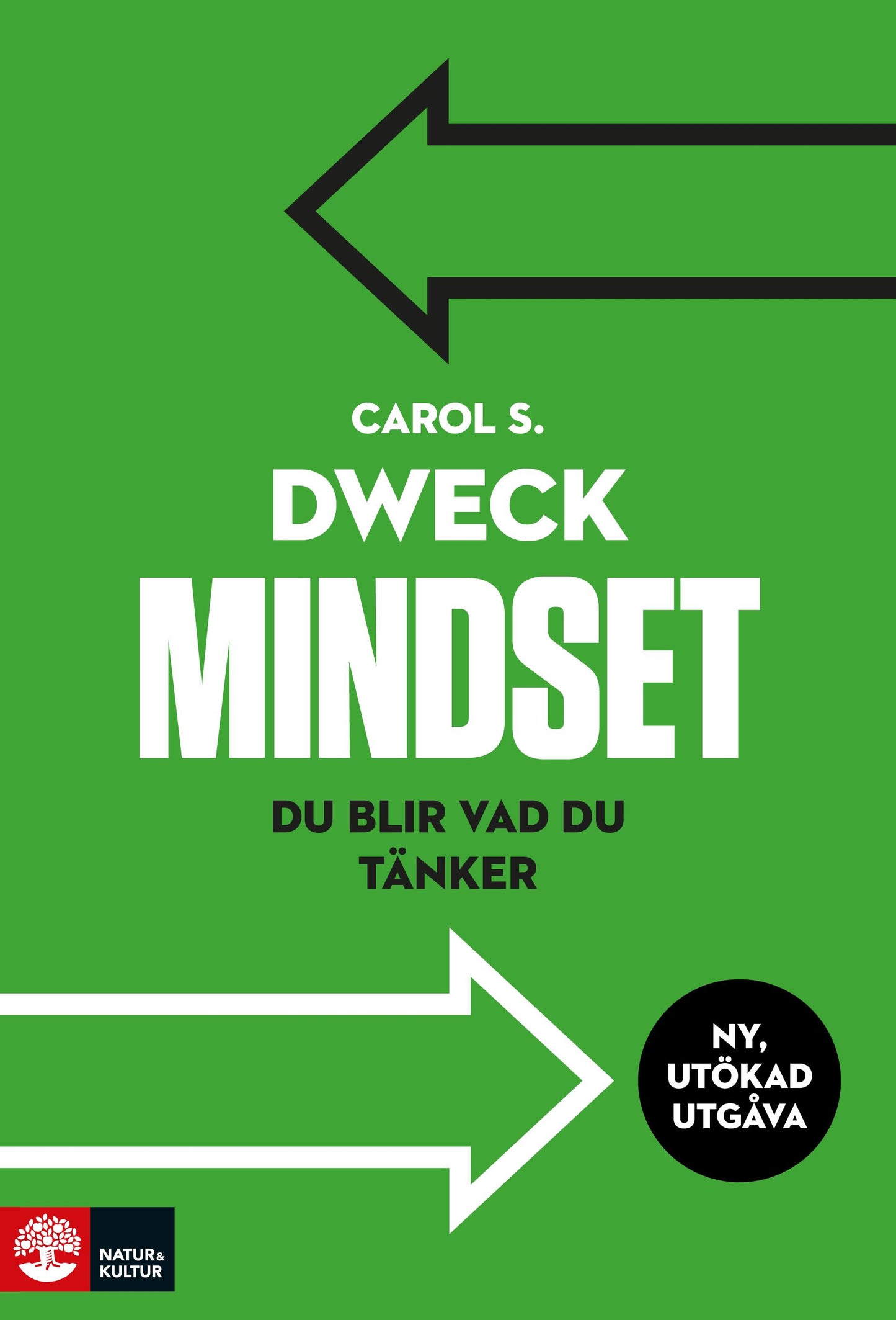 Mindset : du blir vad du tänker – E-bok