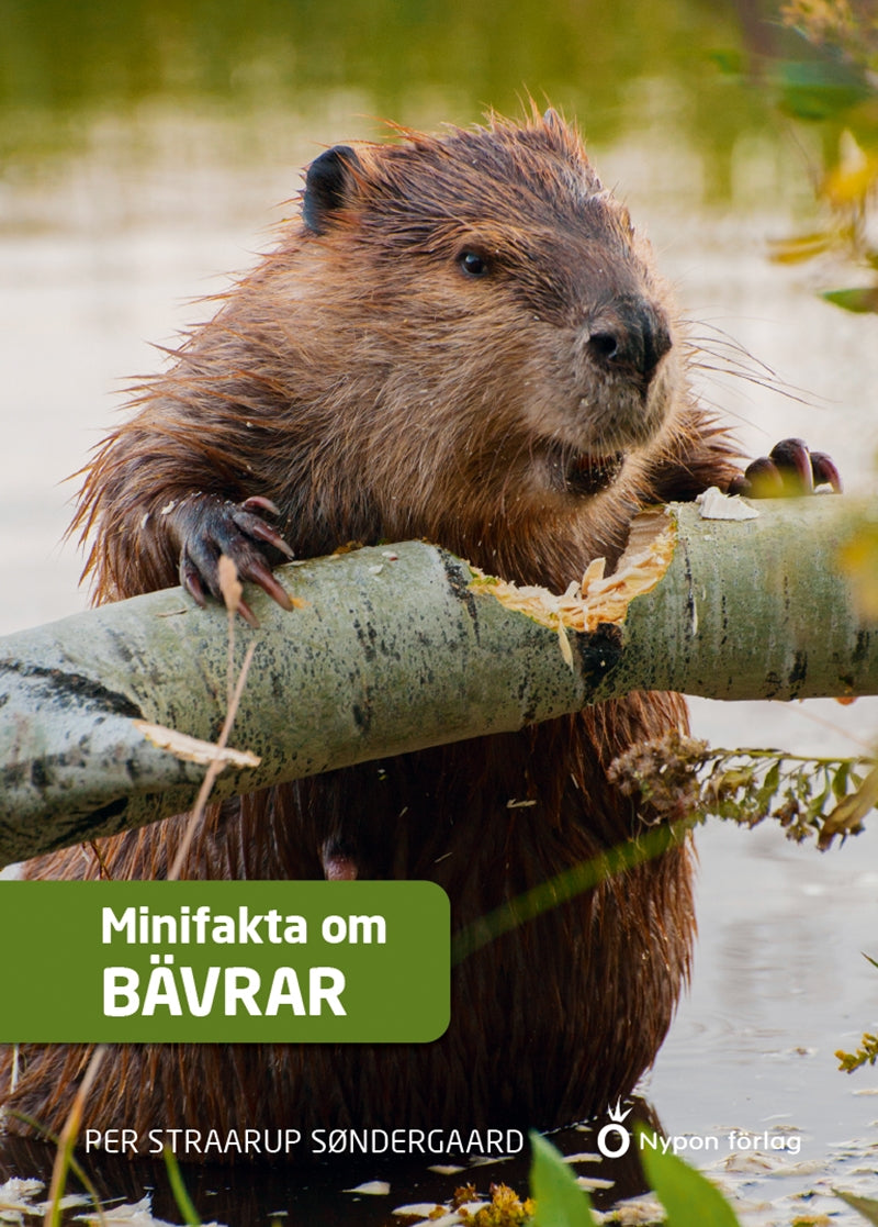 Minifakta om bävrar – Ljudbok
