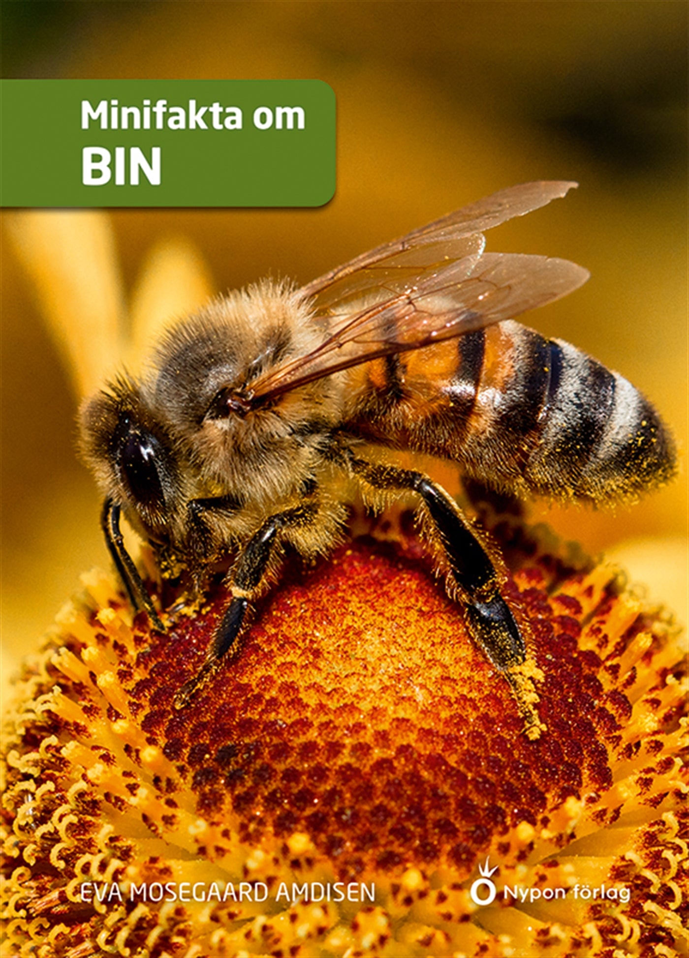 Minifakta om bin – E-bok