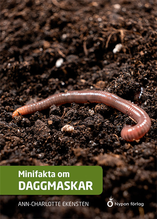 Minifakta om daggmaskar – E-bok