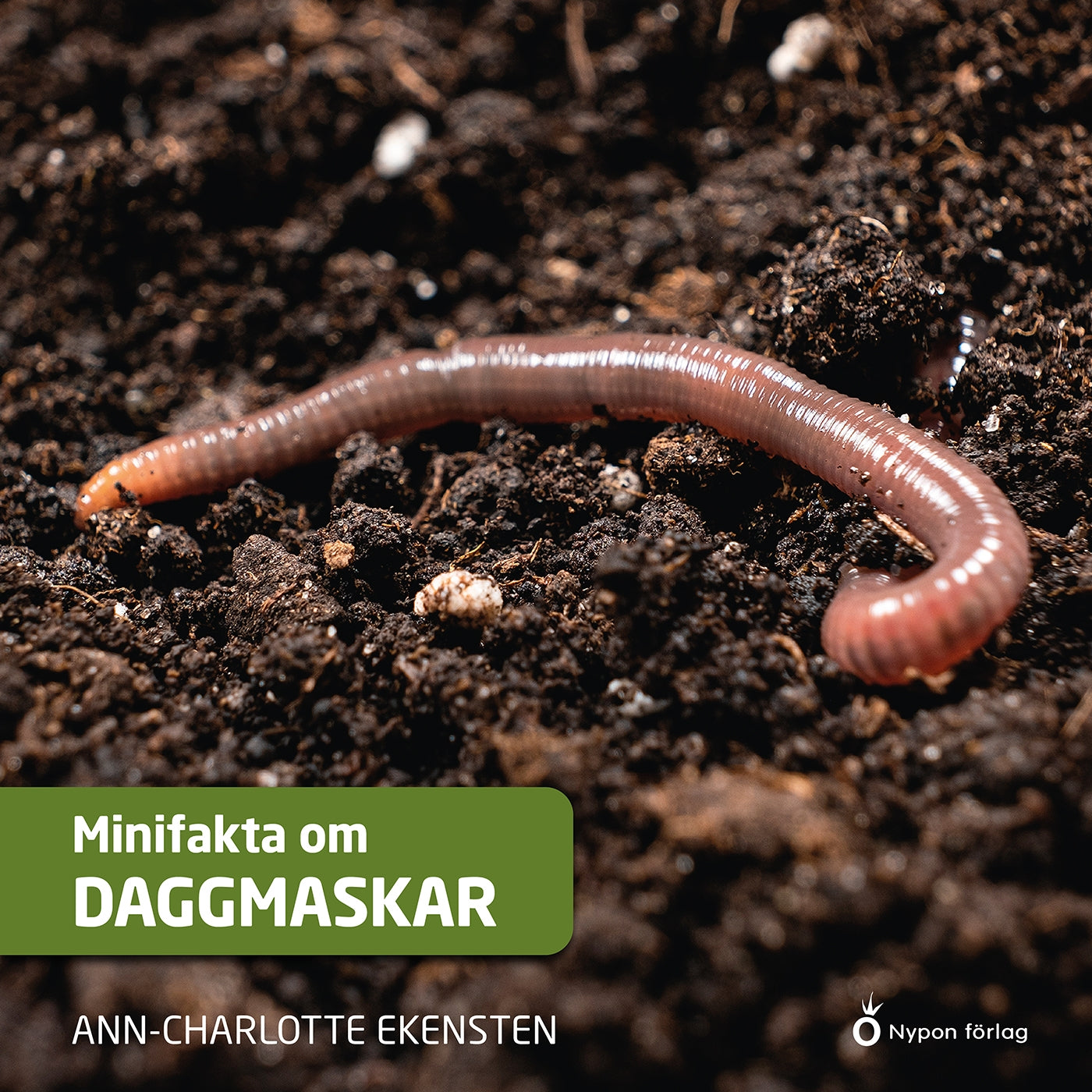 Minifakta om daggmaskar – Ljudbok
