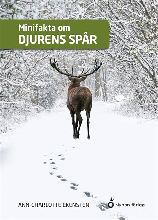 Minifakta om djurens spår – E-bok