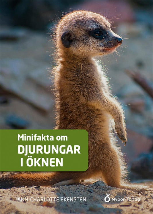 Minifakta om djurungar i öknen – E-bok