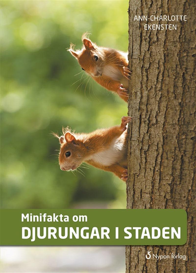 Minifakta om djurungar i staden – E-bok