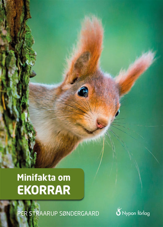 Minifakta om ekorrar – Ljudbok