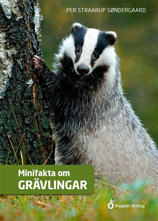 Minifakta om grävlingar – E-bok