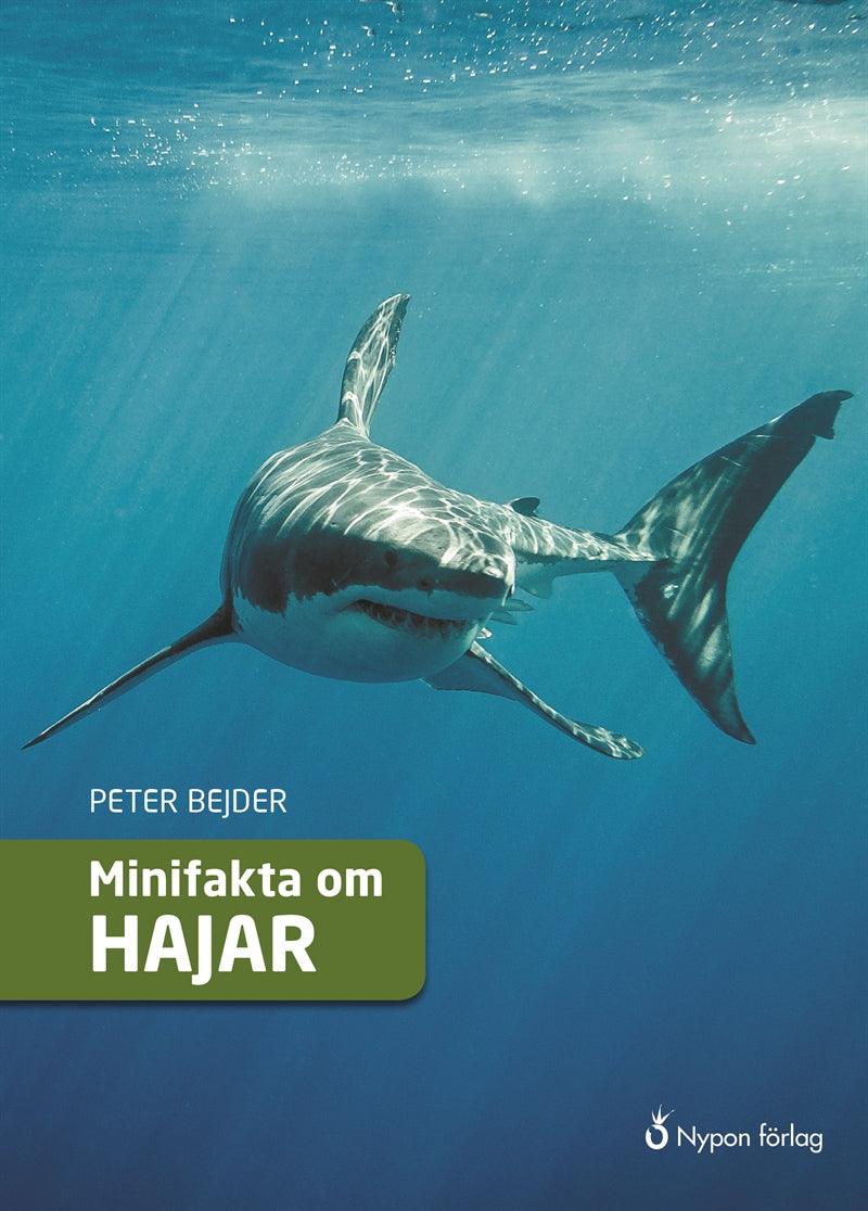 Minifakta om hajar – E-bok