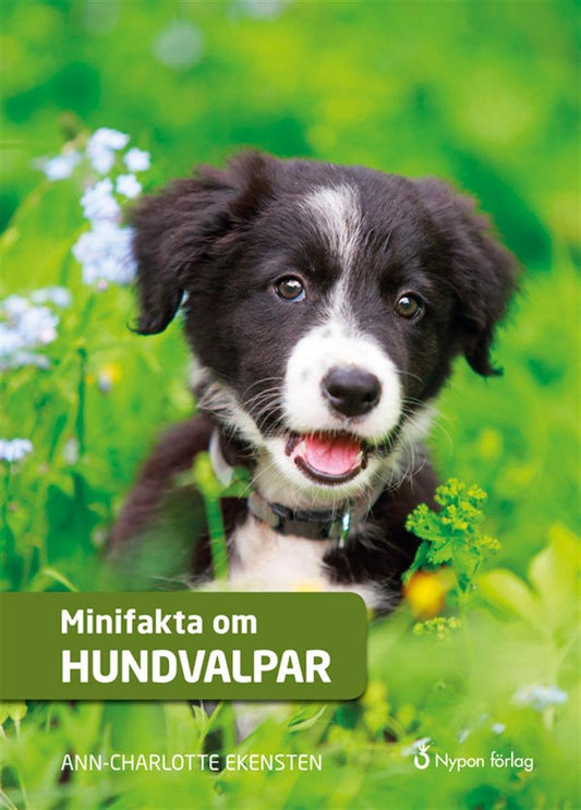 Minifakta om hundvalpar – Ljudbok