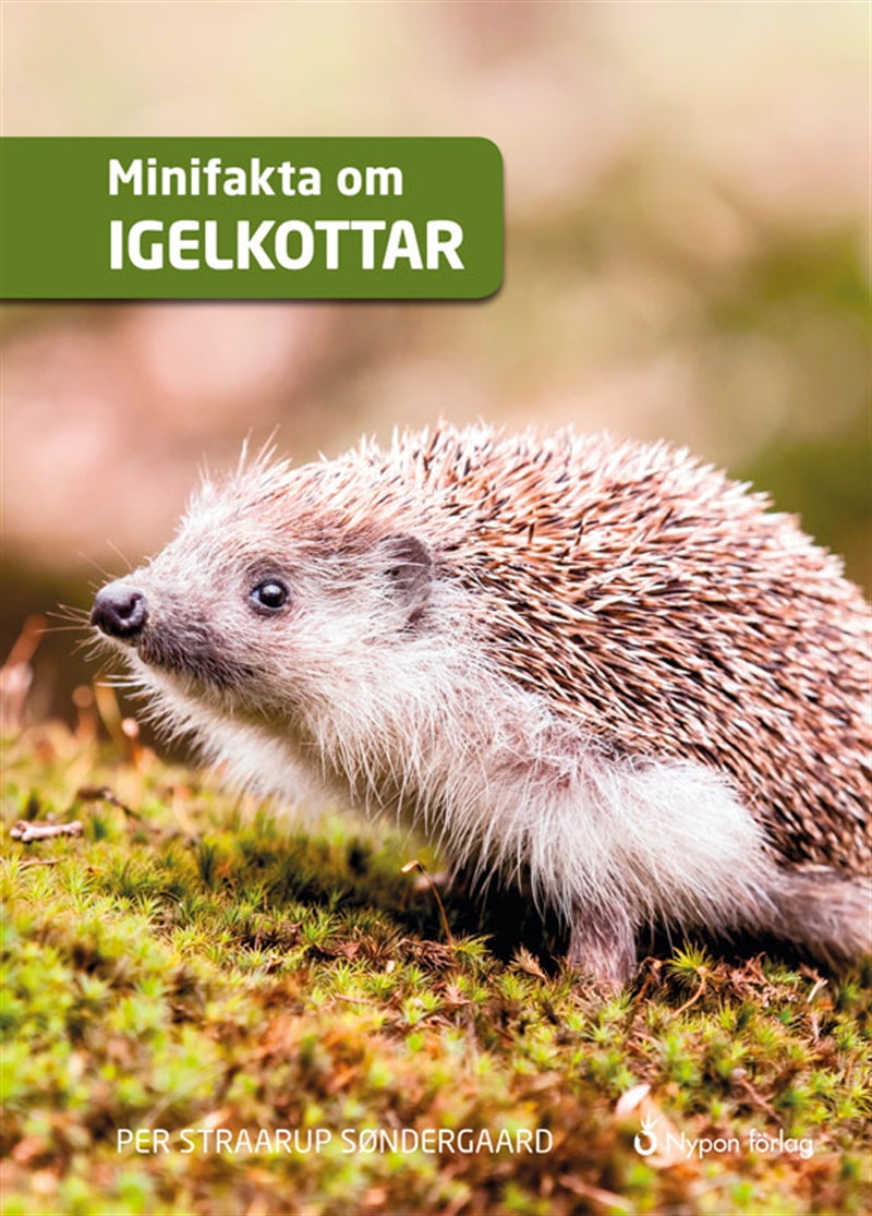 Minifakta om igelkottar – Ljudbok